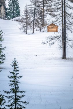 Ormandaki dağlık alanda karla kaplı ahşap kulübe..