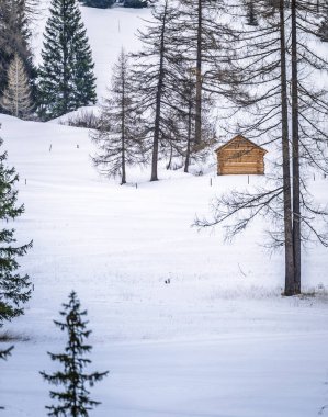 Ormandaki dağlık alanda karla kaplı ahşap kulübe..