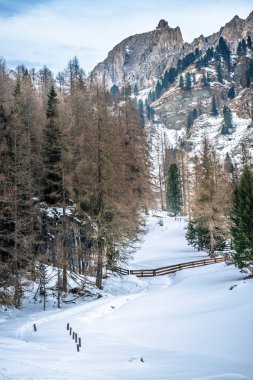 İtalya 'nın Predil Gölü yakınlarındaki karla kaplı ağaçların ve sisli dağların manzarası