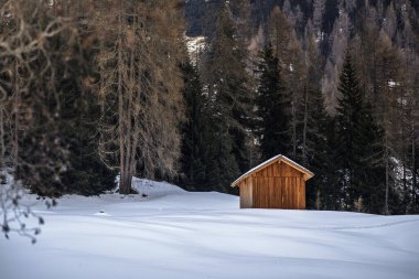 İtalya 'nın Dolomite Dağları' ndaki çam ağaçları ve küçük ahşap kulübesi olan karlı bir manzara.