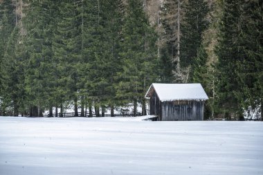 İtalya 'nın Dolomite Dağları' ndaki çam ağaçları ve küçük ahşap kulübesi olan karlı bir manzara.