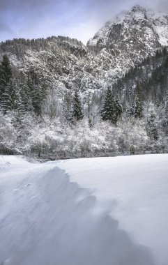 İtalya 'nın Predil Gölü yakınlarındaki karla kaplı ağaçların ve sisli dağların manzarası