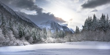 Çam ağaçları ve Predil Gölü, İtalya 'nın karla kaplı manzarası