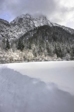 İtalya 'nın Predil Gölü yakınlarındaki karla kaplı ağaçların ve sisli dağların manzarası