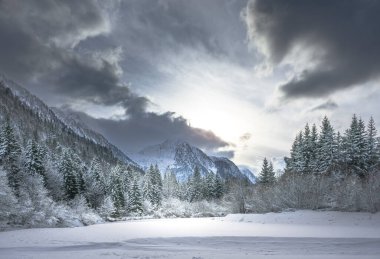 İtalya 'nın Predil Gölü yakınlarındaki karla kaplı ağaçların ve sisli dağların manzarası
