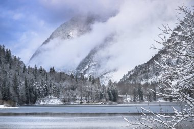Çam ağaçları ve Predil Gölü, İtalya 'nın karla kaplı manzarası