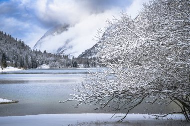 Çam ağaçları ve Predil Gölü, İtalya 'nın karla kaplı manzarası
