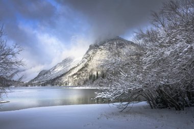 Çam ağaçları ve Predil Gölü, İtalya 'nın karla kaplı manzarası