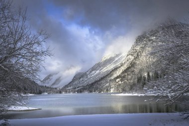 Çam ağaçları ve Predil Gölü, İtalya 'nın karla kaplı manzarası
