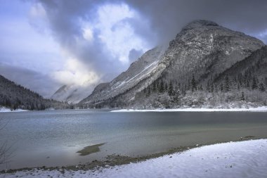 Çam ağaçları ve Predil Gölü, İtalya 'nın karla kaplı manzarası
