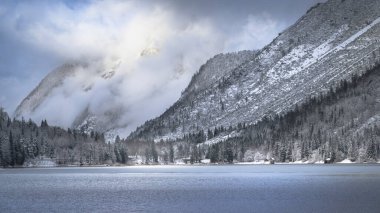 Çam ağaçları ve Predil Gölü, İtalya 'nın karla kaplı manzarası