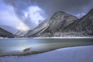 Çam ağaçları ve Predil Gölü, İtalya 'nın karla kaplı manzarası