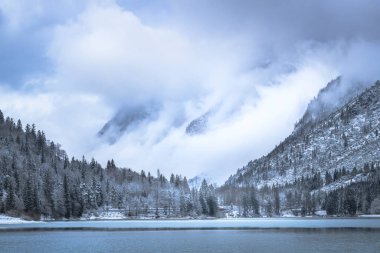 Çam ağaçları ve buzlu Predil Gölü, İtalya 'nın karla kaplı manzarası