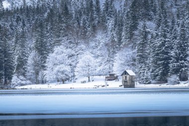 Çam ağaçları ve Predil Gölü, İtalya 'nın karla kaplı manzarası