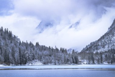 Çam ağaçları ve Predil Gölü, İtalya 'nın karla kaplı manzarası