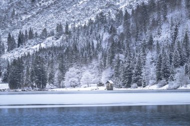 Çam ağaçları ve Predil Gölü, İtalya 'nın karla kaplı manzarası