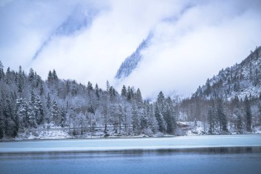 view of snow-covered landscape with pine trees and Predil Lake, Italy