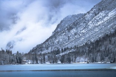 Çam ağaçları ve Predil Gölü, İtalya 'nın karla kaplı manzarası