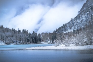 Çam ağaçları ve Predil Gölü, İtalya 'nın karla kaplı manzarası