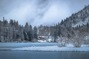 Çam ağaçları ve Predil Gölü, İtalya 'nın karla kaplı manzarası