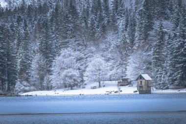 Çam ağaçları ve Predil Gölü, İtalya 'nın karla kaplı manzarası