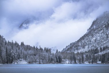 Çam ağaçları ve Predil Gölü, İtalya 'nın karla kaplı manzarası
