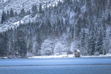 Çam ağaçları ve Predil Gölü, İtalya 'nın karla kaplı manzarası