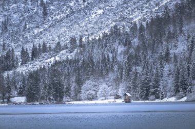 İtalya Predil Gölü yakınlarındaki kış ormanlarında karla kaplı ağaçlar