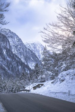 İtalya 'nın Predil Gölü yakınlarındaki karla kaplı ağaçların ve dağların manzarası