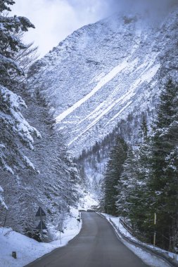İtalya 'nın Predil Gölü yakınlarındaki karla kaplı ağaçların ve dağların manzarası