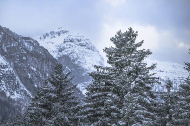 İtalya 'nın Predil Gölü yakınlarındaki karla kaplı ağaçların ve dağların manzarası