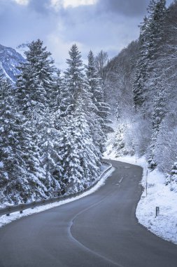 view of asphalt road through winter forest near Predil Lake, Italy