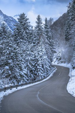 view of asphalt road through winter forest near Predil Lake, Italy