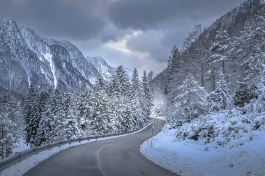 view of asphalt road through winter forest near Predil Lake, Italy
