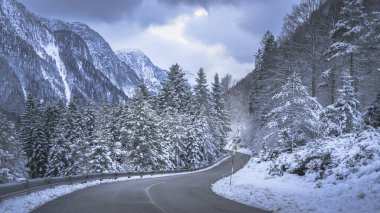 view of a road through winter forest near Predil Lake, Italy