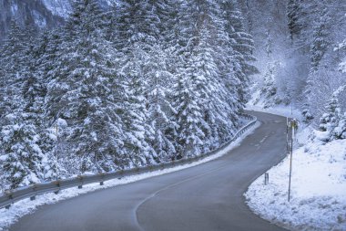 view of a road through winter forest near Predil Lake, Italy