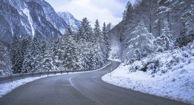 view of a road through winter forest near Predil Lake, Italy