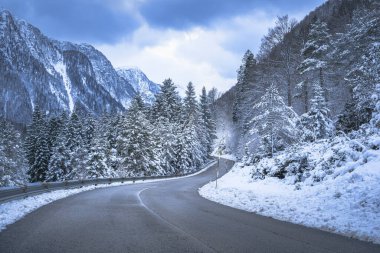 view of a road through winter forest near Predil Lake, Italy