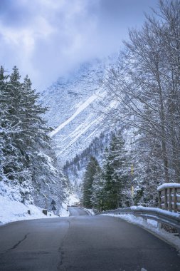 view of asphalt road through winter forest near Predil Lake, Italy