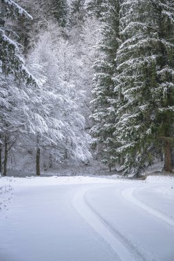 view of snowy road through winter forest near Predil Lake, Italy