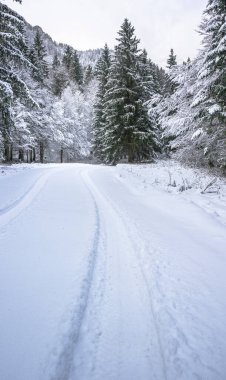 view of snowy road through winter forest near Predil Lake, Italy