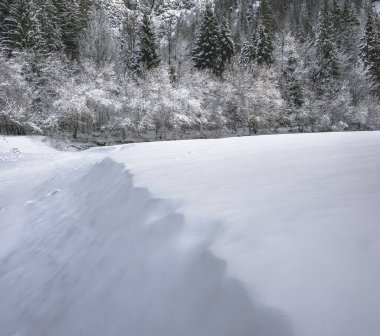 İtalya Predil Gölü yakınlarındaki kış ormanlarında karla kaplı ağaçlar
