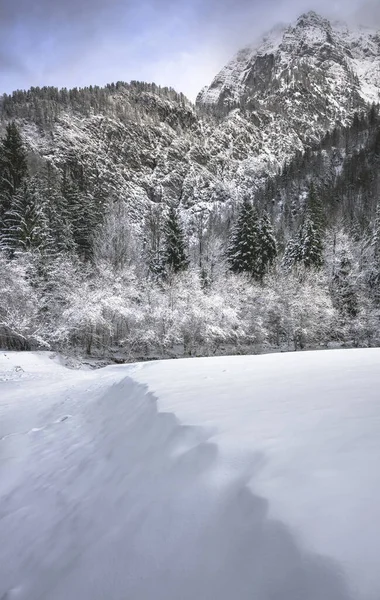 İtalya 'nın Predil Gölü yakınlarındaki karla kaplı ağaçların ve sisli dağların manzarası