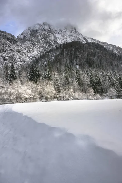 İtalya 'nın Predil Gölü yakınlarındaki karla kaplı ağaçların ve sisli dağların manzarası