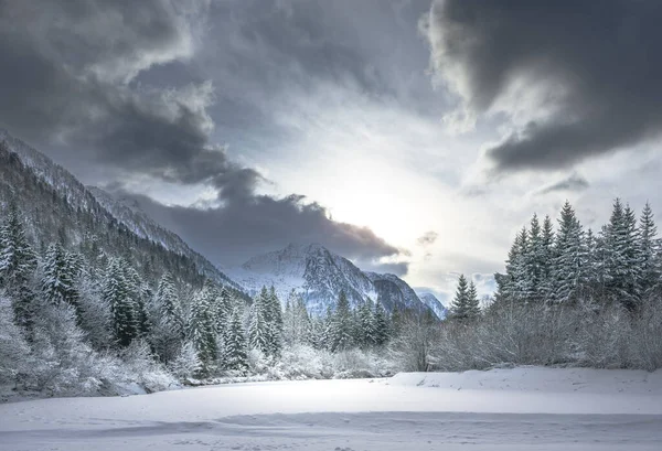 İtalya 'nın Predil Gölü yakınlarındaki karla kaplı ağaçların ve sisli dağların manzarası