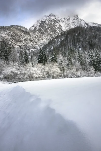 İtalya 'nın Predil Gölü yakınlarındaki karla kaplı ağaçların ve sisli dağların manzarası