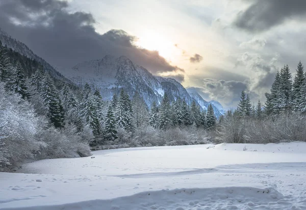 İtalya 'nın Predil Gölü yakınlarındaki karla kaplı ağaçların ve sisli dağların manzarası