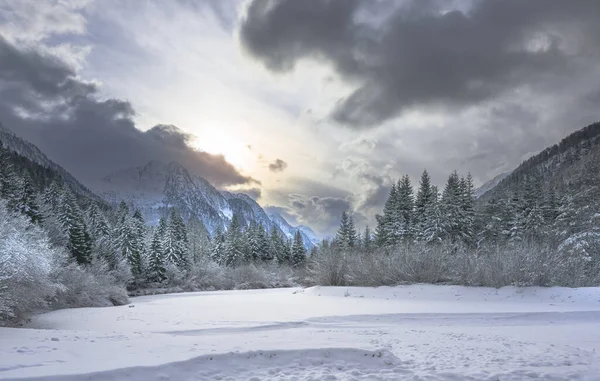 İtalya 'nın Predil Gölü yakınlarındaki karla kaplı ağaçların ve sisli dağların manzarası