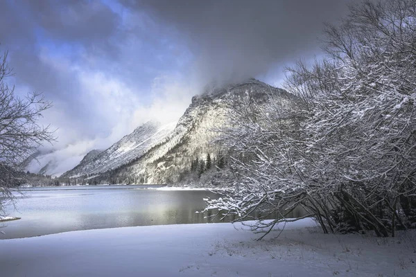 Çam ağaçları ve Predil Gölü, İtalya 'nın karla kaplı manzarası
