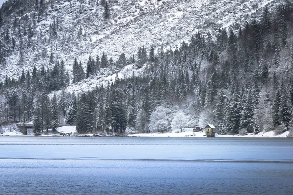 Çam ağaçları ve Predil Gölü, İtalya 'nın karla kaplı manzarası